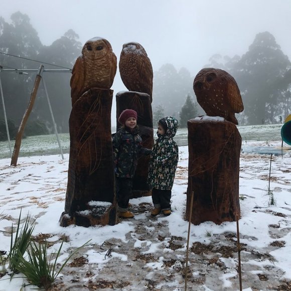 Meet your Posher, Liz ! - Picture 4 of 7